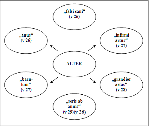 Lösung Sachfeldaufgabe