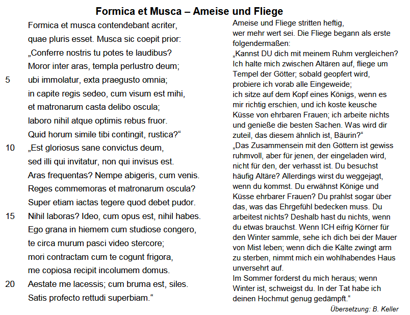 Phaedrus, Appendix Fabularum Aesopiarum 28